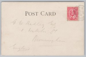 State View~American Falls From Goat Island Niagara Falls NY B&W~Vintage Postcard