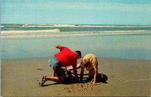 Washington Pacific Ocean Seacoast Clam Digging