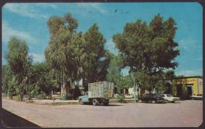 Poplar Tree Park,Alamos,Son,Mexico Postcard