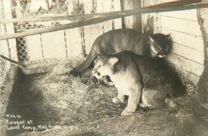1930s Wolf Creek Oregon Cougars Patterson W26 RPPC Postcard 25-11890
