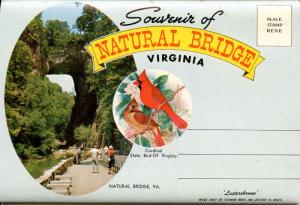 Folder - Natural Bridge, Virginia.  (14 views + covers + narrative)