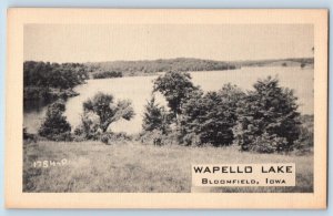 Bloomfield Iowa IA Postcard Wapello Lake And Trees Scenic View c1920's Antique