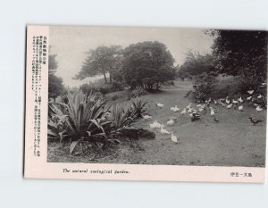 Postcard The natural zoological garden Izu Ōshima Japan