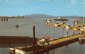 Campbell River British Columbia Canada Marina Vintage Postcard K106293