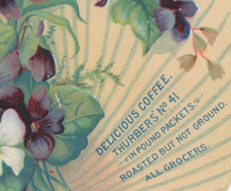 1880's H K & F B Thurber & Co Die Cut Flowers Ribbon Victorian Trade Card