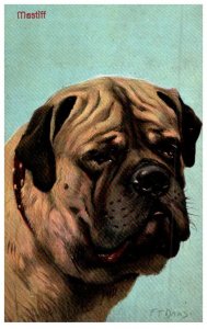 Dog ,Mastiff , artist signed F.T.Daws