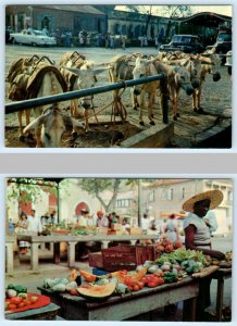 2 Postcards ST. THOMAS, Virgin Islands ~ Donkeys or Burros MARKET PLACE SCENES