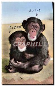 Postcard Modern African Wildlife Monkey Mom and baby monkey