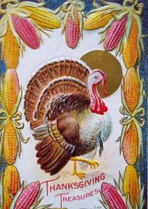 Thanksgiving Postcard Turkey Gold Sun Corn Cob Border Nash Series T-22 Embossed