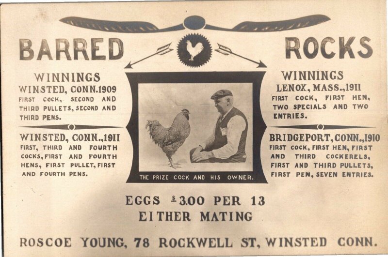 Winsted CT Advertising Prize Winning Barred Rocks Roosters c1911 Postcard U11 