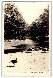 c1940's View In One Of The Many City Park Tulsa Oklahoma OK RPPC Photo Postcard