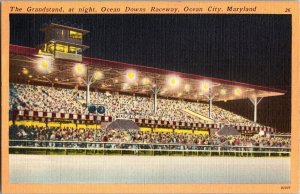 The Grandstand at Night, Ocean Downs Raceway Ocean City MD Vintage Postcard J69