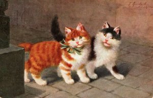 C.1907 Sophie Sperlich German Cats Kittens Postcard F82 