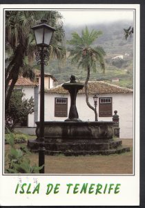 Spain Postcard - Isla De Tenerife, Icod De Los Vinos. Posted 1995 - LC3707