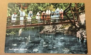 VINTAGE POSTCARD UNUSED FISHING @ DEVIL'S HOLE BERMUDA