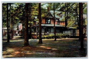 1909 The Pines Hotel And Trees Sacandaga Park New York NY Antique Postcard