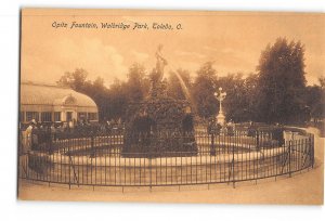 Toledo Ohio OH Postcard 1901-1907 Walbridge Park Opitz Fountain