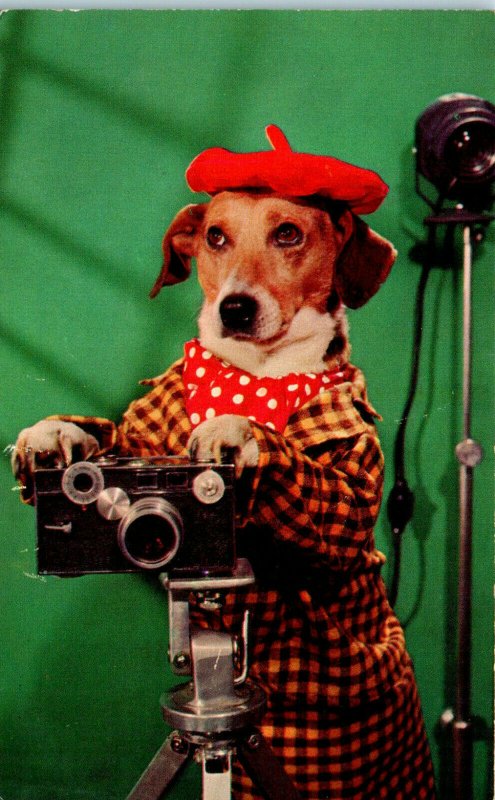 1950s Anthropomorphic Dog Wearing Beret Greetings from Marlboro NY Postcard