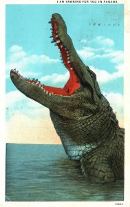 Vintage Postcard 1938 I Am Yawning For You In Panama Crocodile Sucesion De I. L.