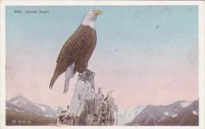 Alaska American Eagle