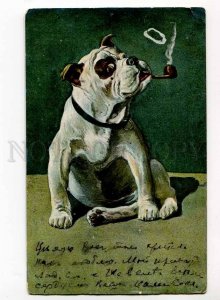 3000213 Funny ENGLISH BULLDOG smoking Pipe Vintage COMIC PC