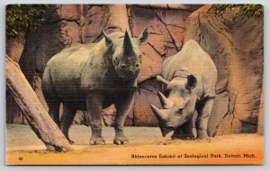 Detroit Michigan~Rhinoceros Exhibit @ Zoological Park~Tichnor Vintage Linen PC
