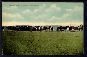 Changing Horses in the Cow Camp at Noon