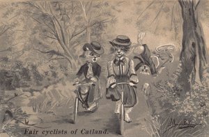 Anthropomorphic Cats Fair Cyclists of Catland Maurice Boulanger postcard B904