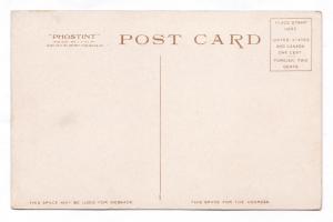 1915-1930 Harrisburg PA Mulberry Street Bridge Detroit Phostint RARE WB Postcard