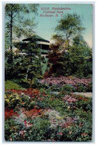 1913 Rhododendron Highland Park Rochester New York Vintage NY Vintage Postcard