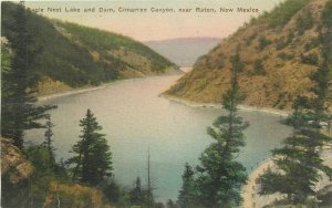 1920s Raton New Mexico Eagle Nest Lake Dam hand colored Postcard 25-12187