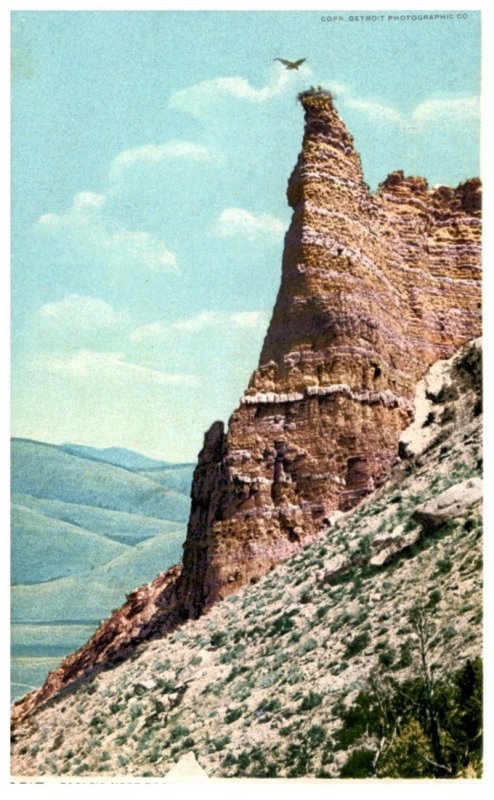 Wyoming  Yellowstone Park  Eagle's Nest Rock