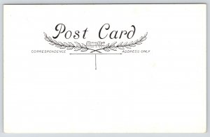 Christmas Fantasy~Dressed Dogs~Toys~Turkey Pot Belly Stove~ART DECO Whitney Made