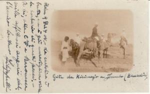 RPPC   MEN on CAMELS, HORSE  Benadir ?  Somolia ?  postcard