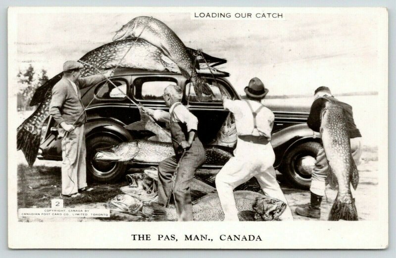 Le The Pas MB~Four Men Load Exaggerated Fish Catch Onto A 1940s Automobile~1954 