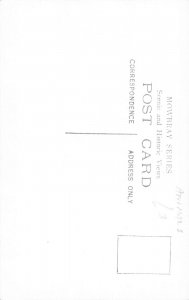 Animals Koala Native Bear vintage postcard