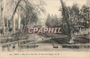 Postcard Old Lyon Tete d'Or Park Parc aux Cygnes