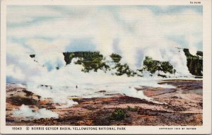 Yellowstone National Park Norris Geyser Basin Haynes 15043 Linen Postcard E92