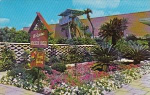 Floral Path And Escalatoer To Observation Deck At Busch Gardens Tampa Florida