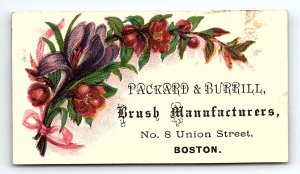 c1880 PACKARD & BURRILL BRUSH MANUFACTURERS BOSTON MA VICTORIAN TRADE CARD Z1118