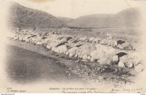 ISLAM: Algerie - La priere d soir , 1905