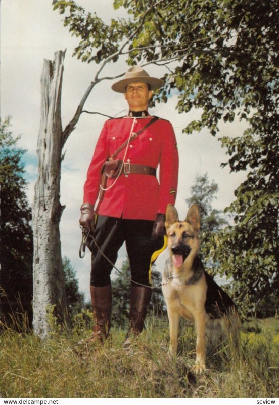 R.C.M.P. , Canada , 1950-70s ; Police Dog #3