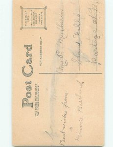 Divided-Back BEAUTIFUL FLOWERS SCENE Great Postcard AA3272