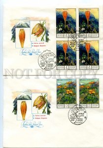 440524 USSR 1976 year set of FDC Sharov Flora USSR flowers