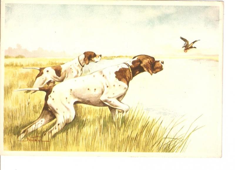 Postal 026381 : Dibujo de perros a orillas de un lago