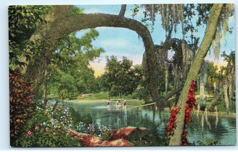 *Ulbricht's Summer Resort New Braunfels Texas Comal River Vintage Postcard B83