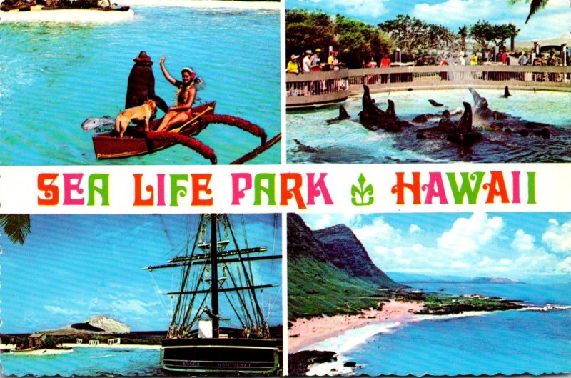 Hawaii Oahu Sea Life Park Multi View