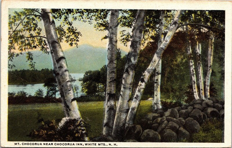 Mount Chocorya Chocorua Inn White Mountains New Hampshire WB Cancel WOB Postcard