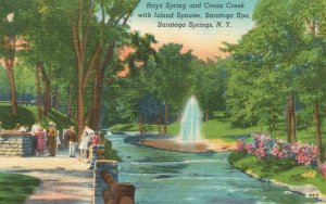 Vintage Postcard 1930's Hays Springs Coesa Creek Island Spouter Saratoga Springs