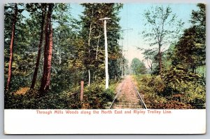 Ripley NY~North East PA Interurban Trolley~Lake Erie Fast Line~Mills Woods~1905